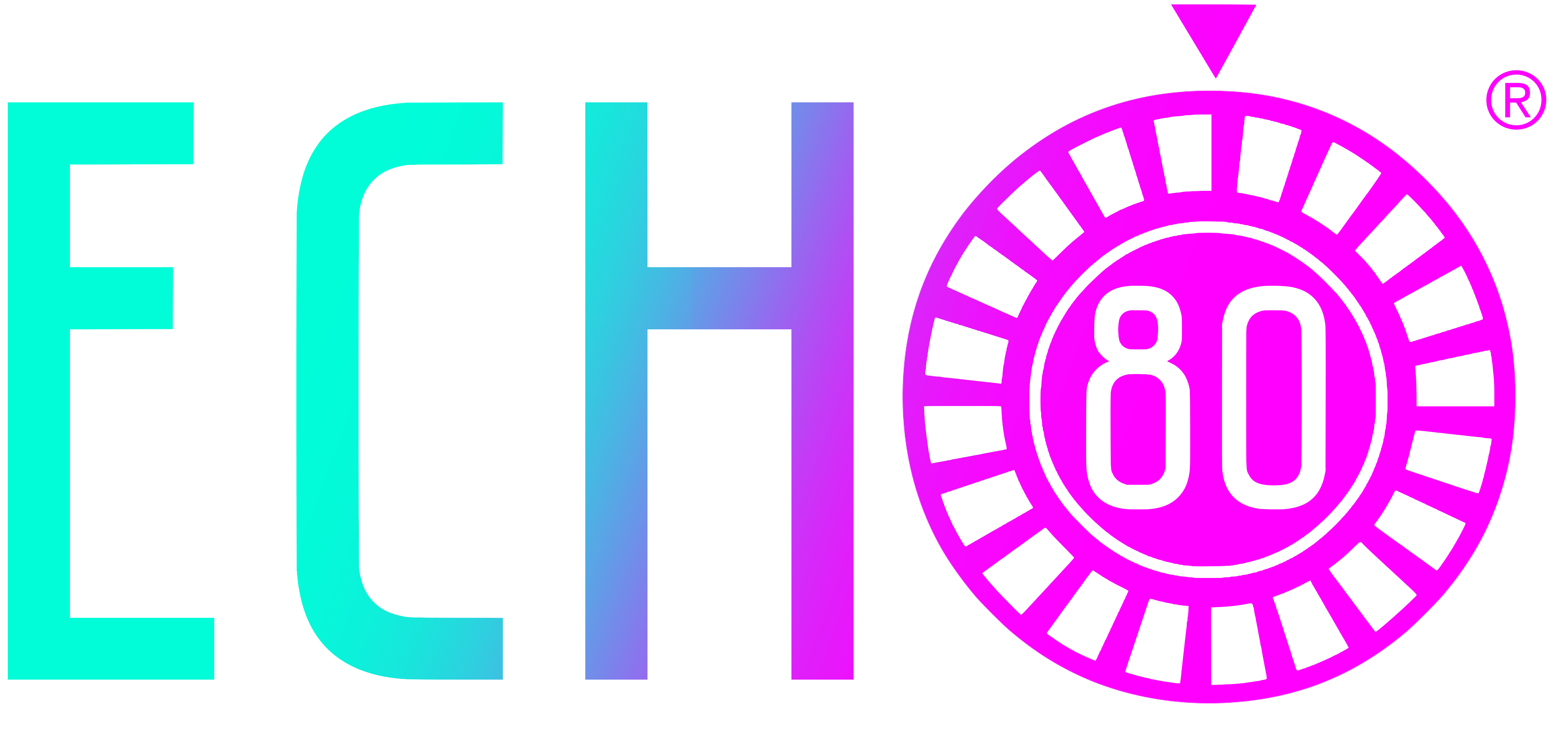 Echo 80 - Light Logo